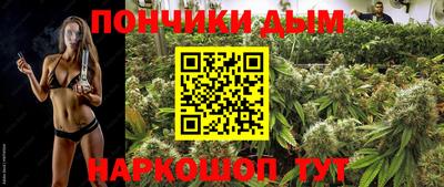 прущие грибы Аргун