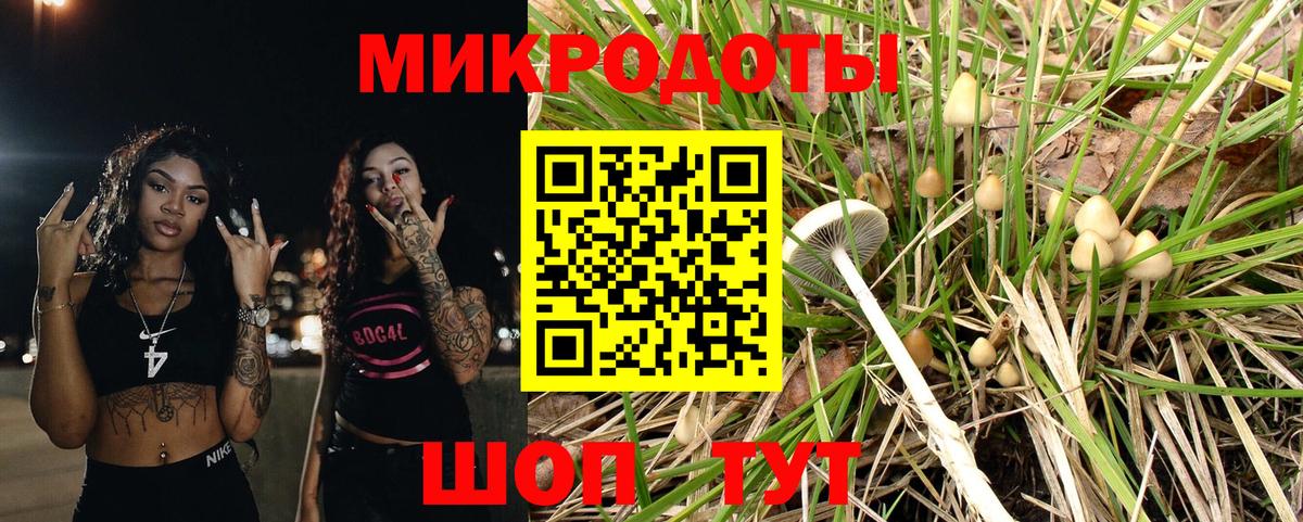 Псилоцибиновые грибы Psilocybine cubensis  Галлюциногенные грибы мухоморы  Вход с VPN  Верхняя Салда 